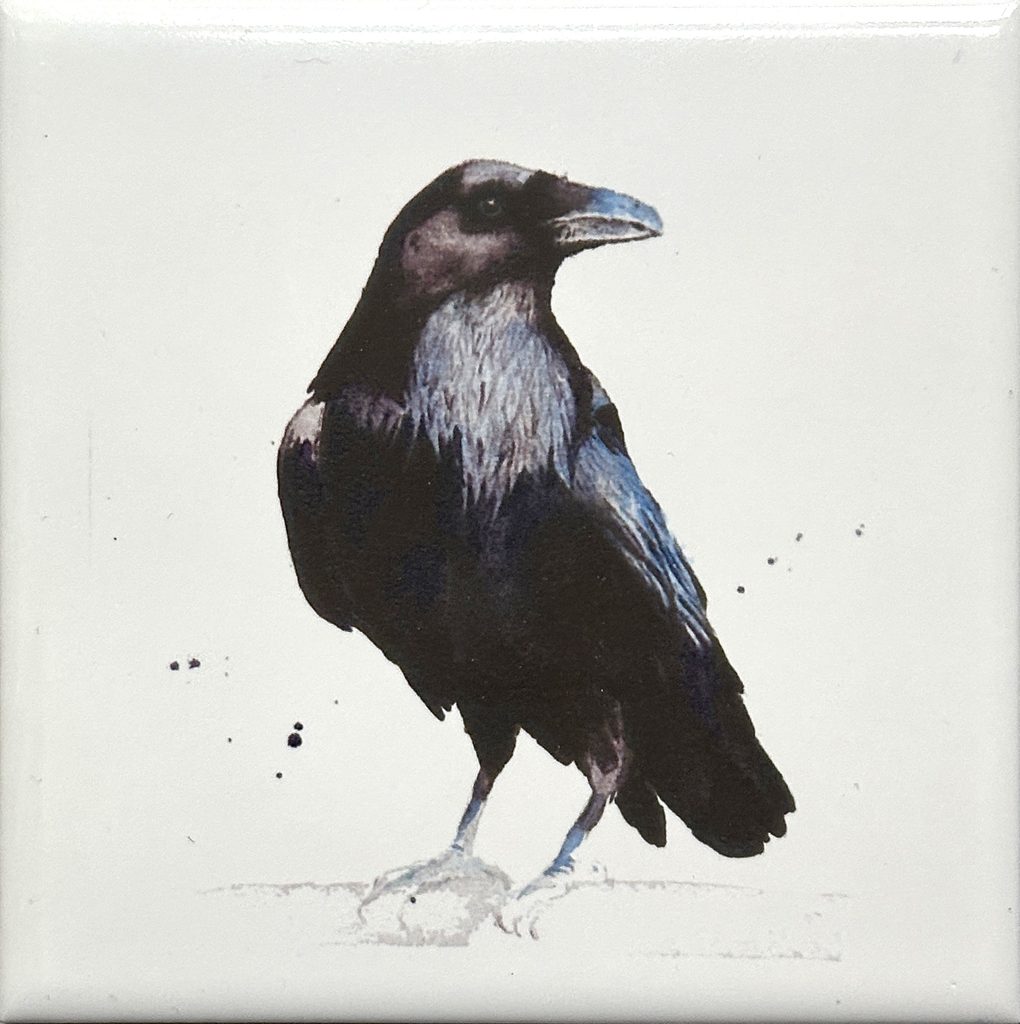 Aquarellfliese Rabe