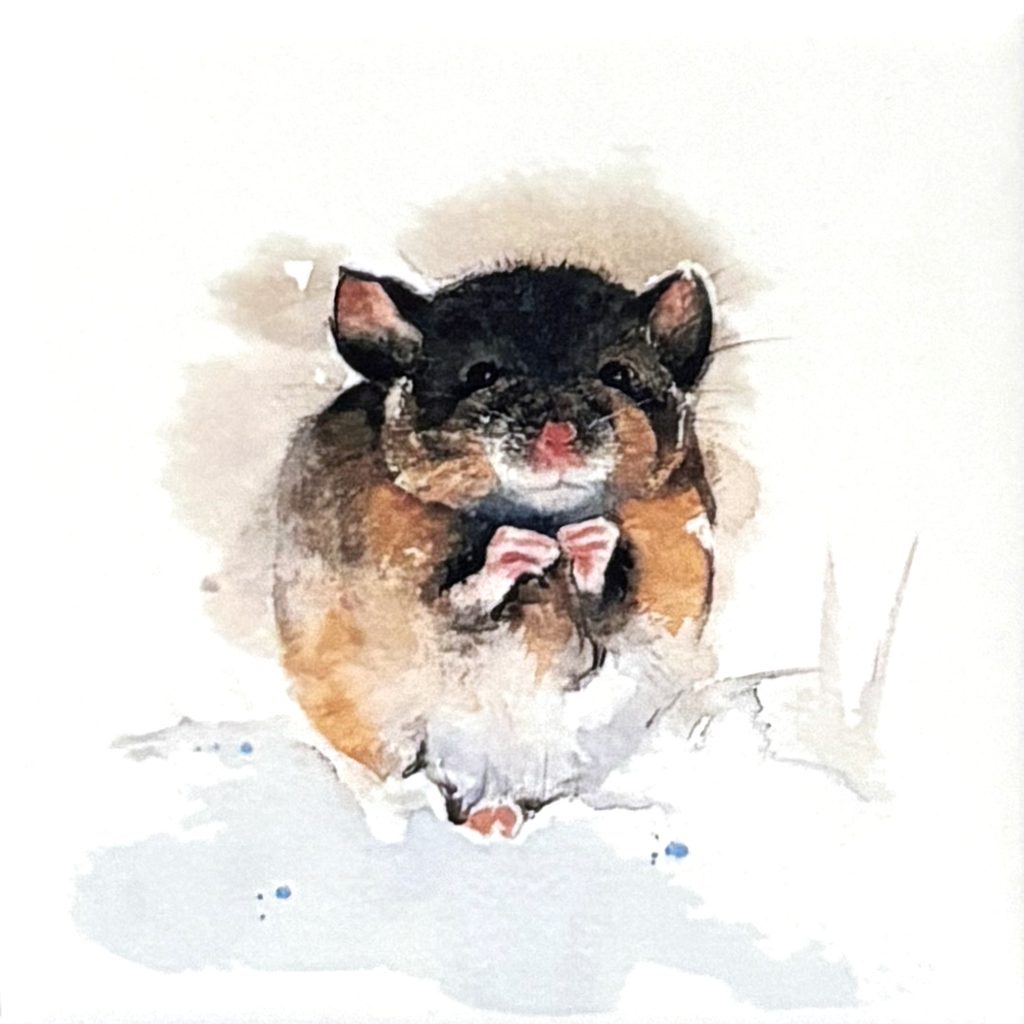 Fliese Maus